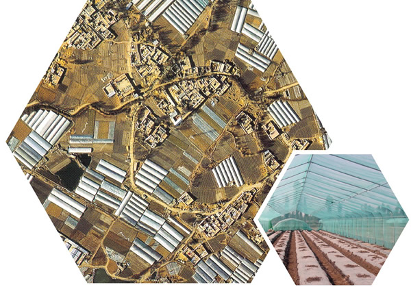 光穩(wěn)定劑在汽車內(nèi)飾中的應(yīng)用:守護(hù)駕乘空間的美觀與安全 光穩(wěn)定劑在汽車內(nèi)飾中的應(yīng)用:守護(hù)駕乘空間的美觀與安全